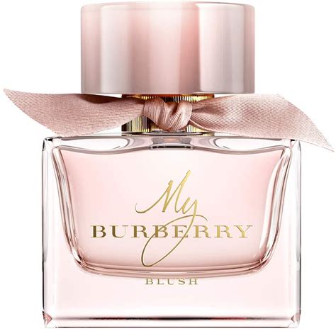 burberry face blush|my Burberry blush price.